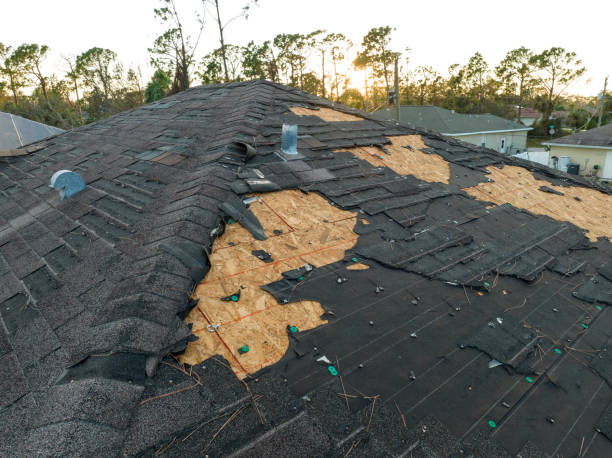 Best Roof Coating and Sealing  in Progress, PA